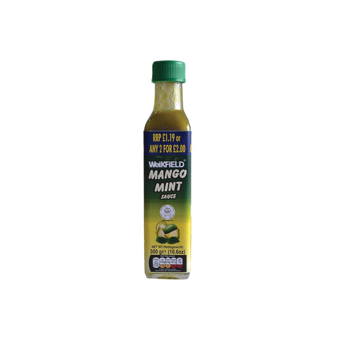 Weikfield Mango & Mint 300g | Buy Online | Aadyaa Foodstore